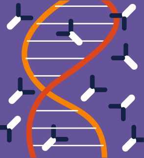 An illustration of a DNA strain.